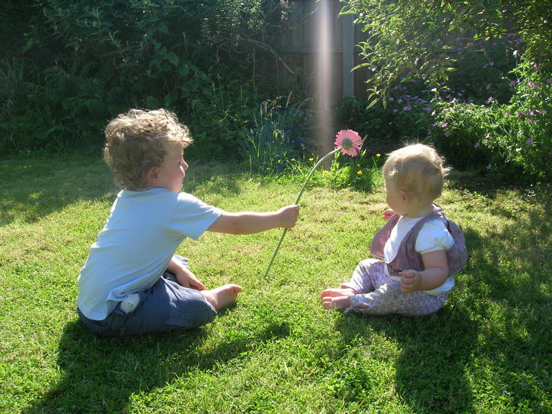 Taking care of the garden at the summers’ end