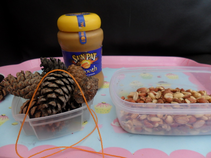 How to make an easy bird feeder How to make an easy bird feeder