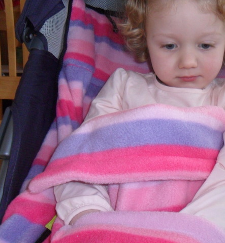 Review: A Buggysnuggle footmuff