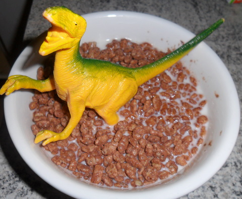 April Fool ideas from my 6 year old son!