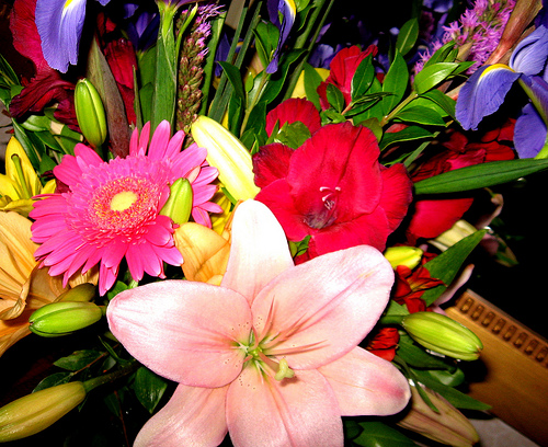 Mother&rsquo;s Day - An Expensive Celebration