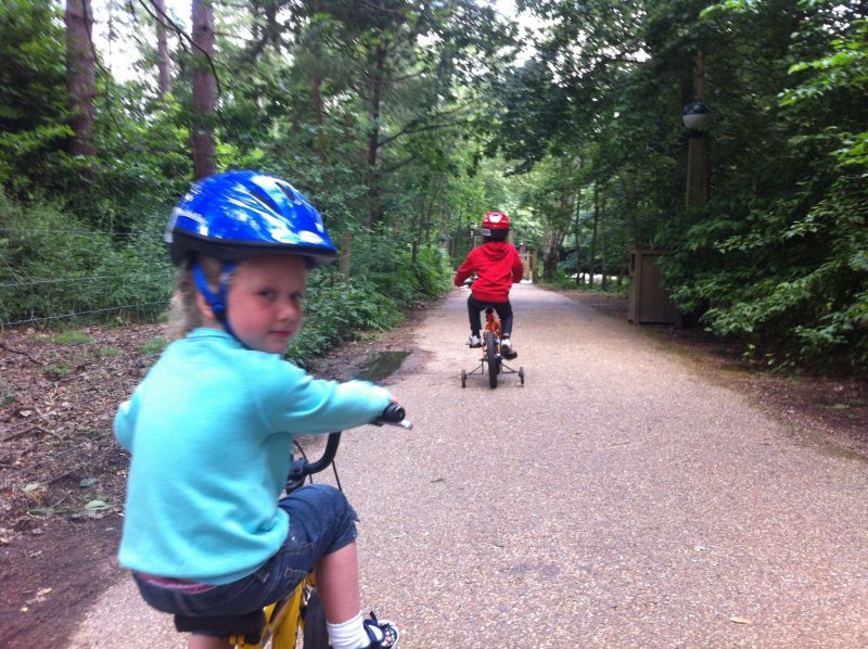 bike, How to survive the school holidays