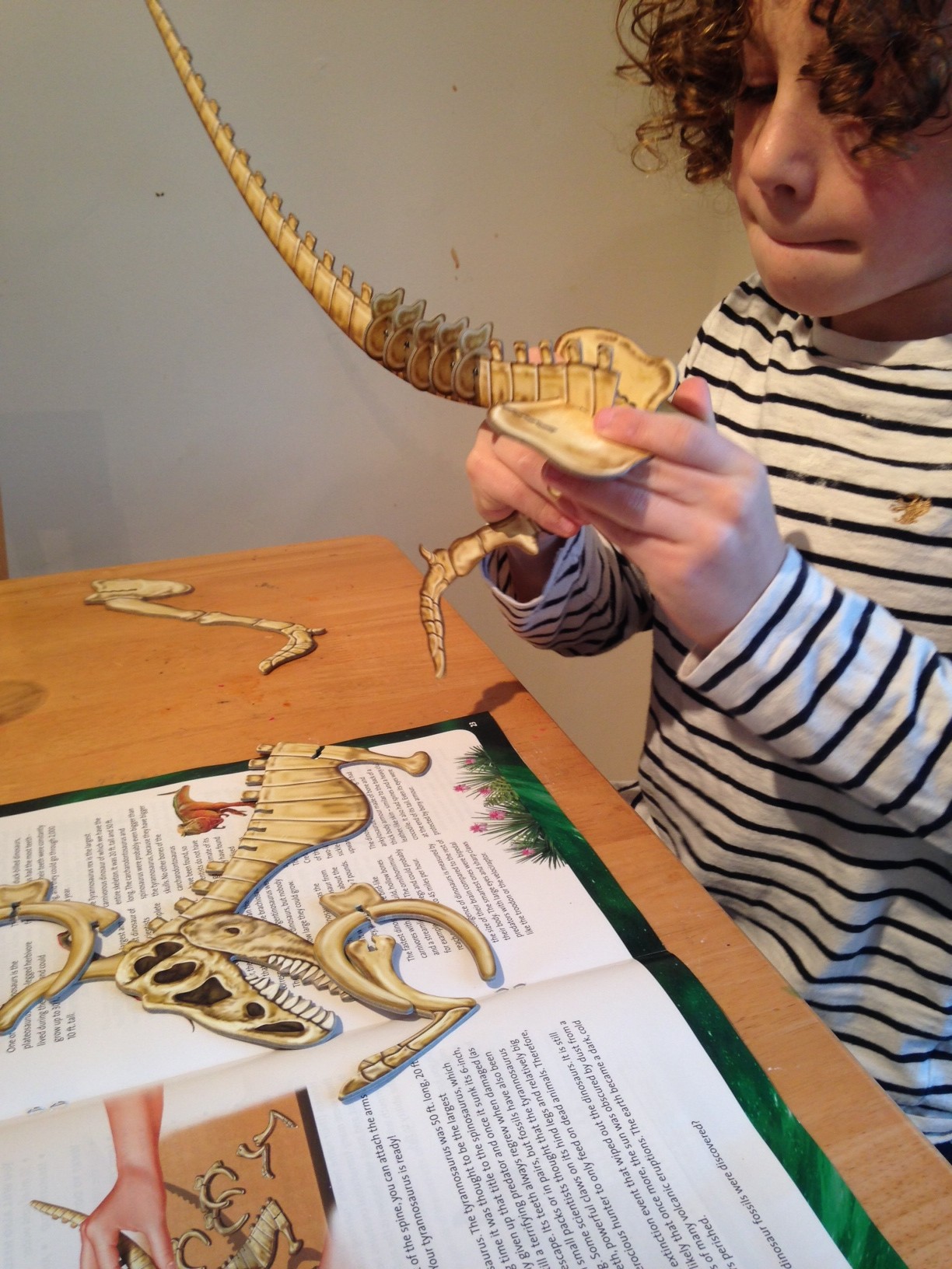 Ravensburger Science X Maxi Prehistoric Expedition