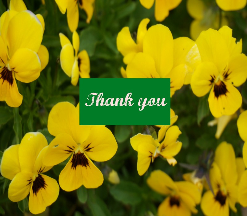 My day of saying ThankYou  #BigLittleThanks