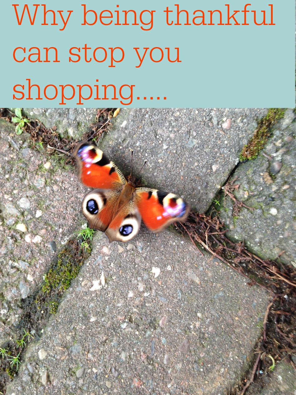 Being thankful can stop you shopping