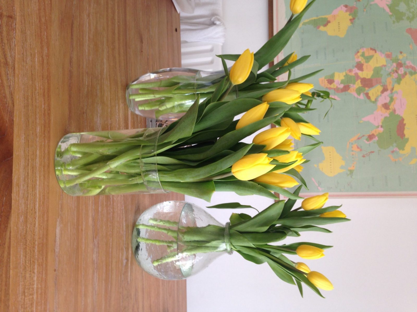 Tulips from Tesco Flowers