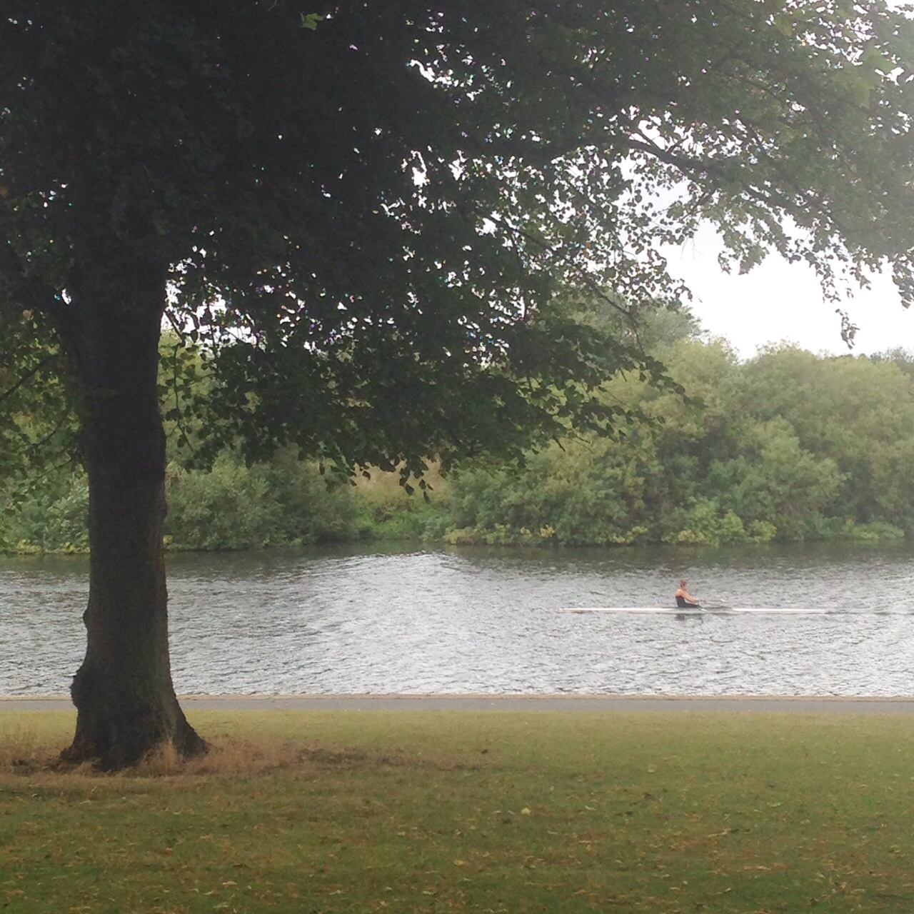 ParkLives free local activities for all the family
