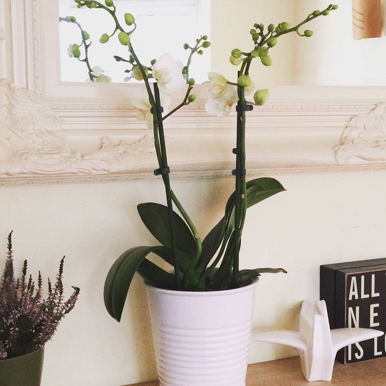Mothers Day Flowers that last (plus a 33% discount code)