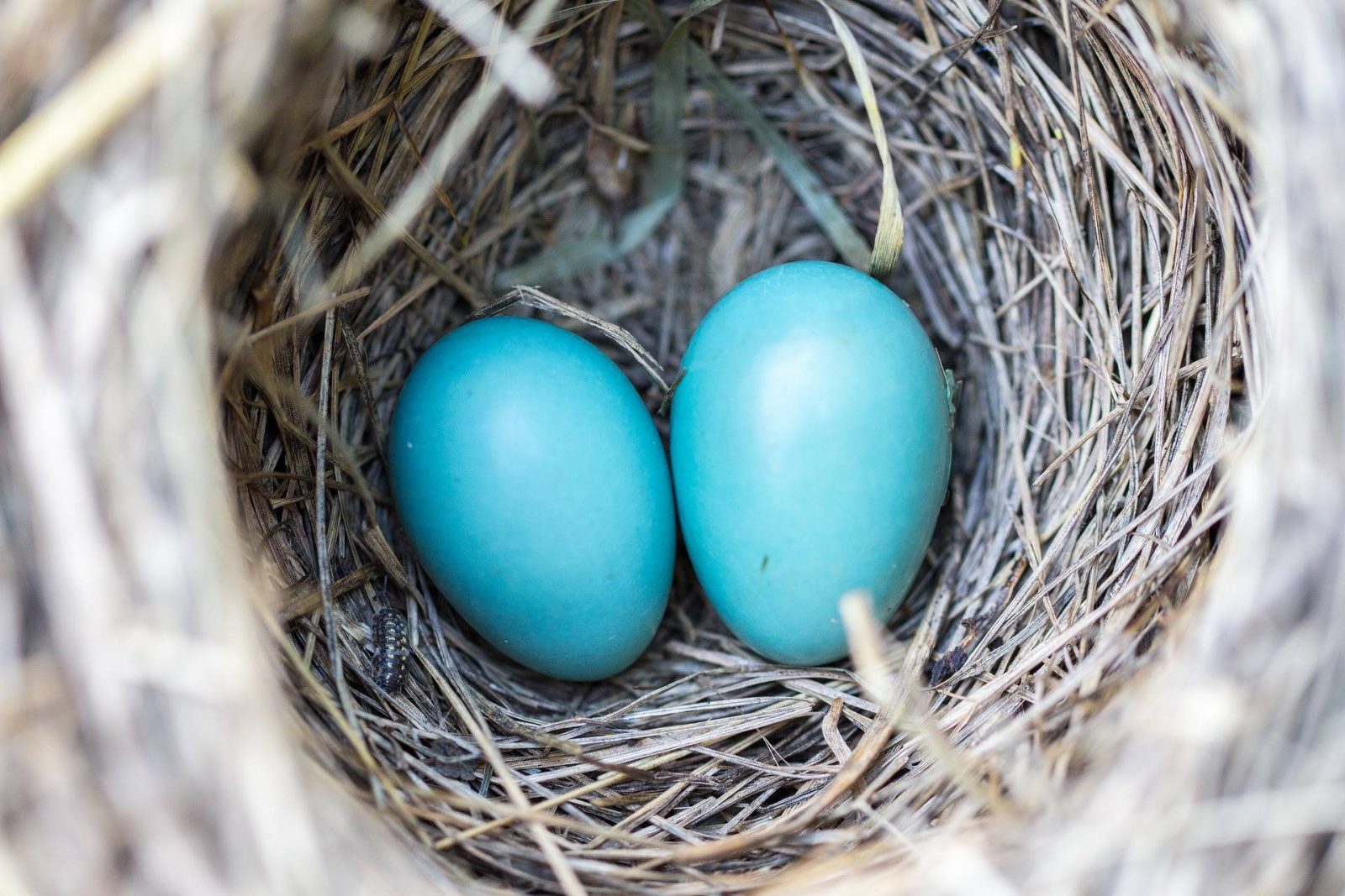 Seeing Double and Loving It: Today’s Top Tech Just for Moms of Twins