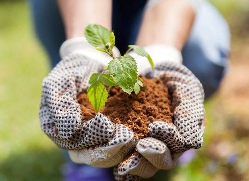What to do on Earth Day