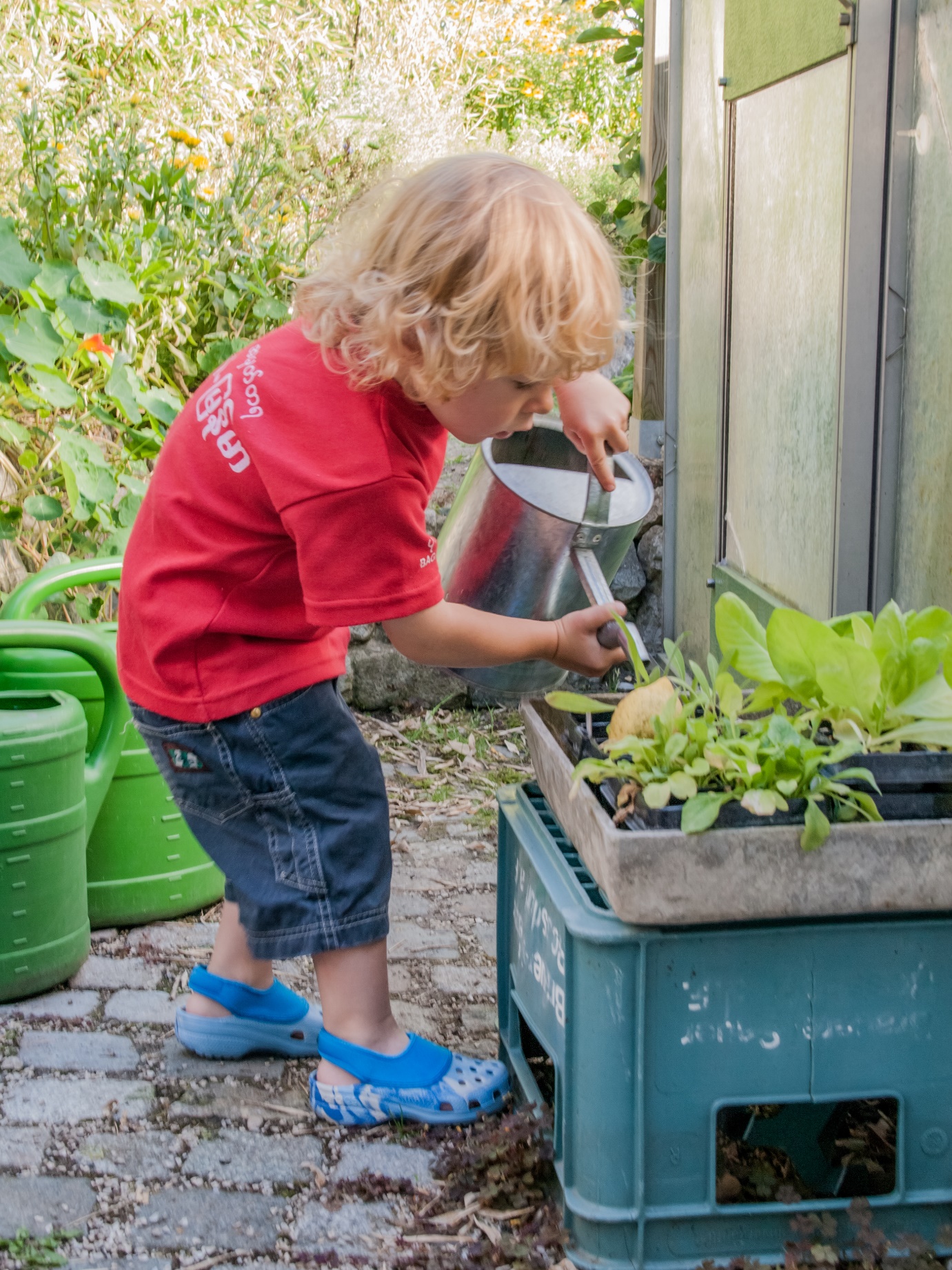Ways to Encourage Your Child to be More Green
