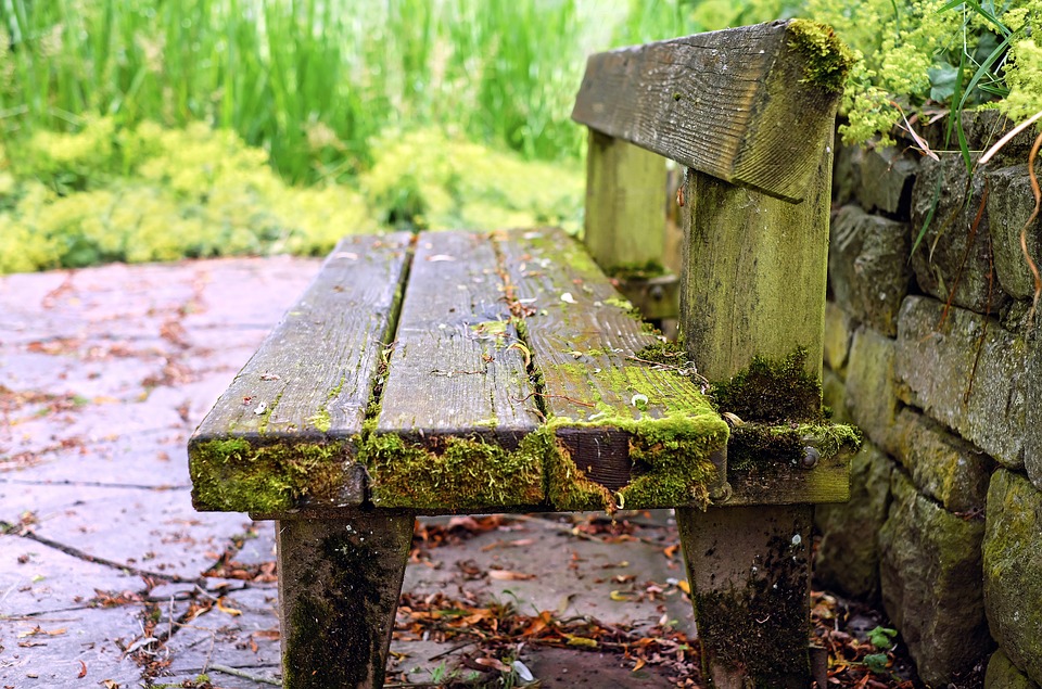 Guide to Building a Garden Bench
