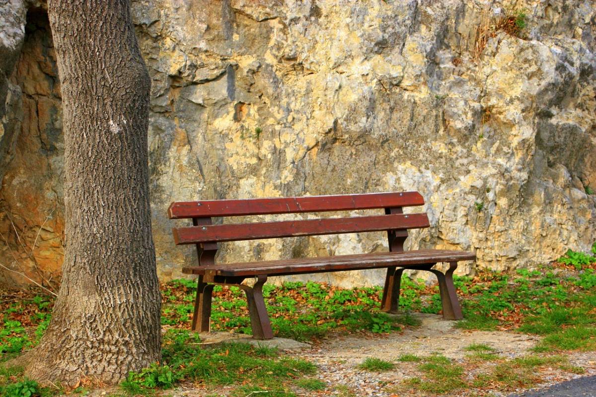 Which Mental Health Conditions Cause the Most Financial Recklessness?