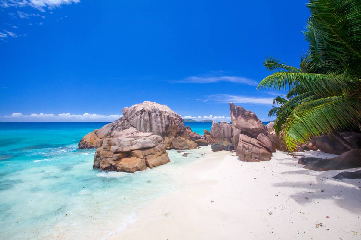 The Tax Benefits of Opening a Company in Seychelles
