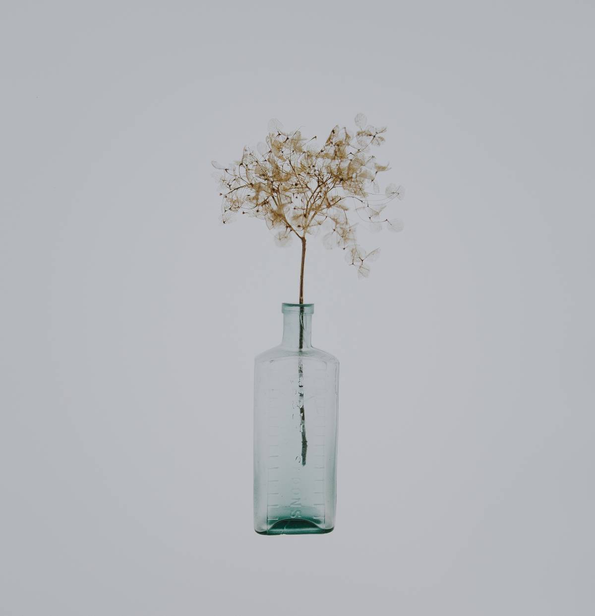 bottle display, budget home decor ideas, budget ideas for home decor