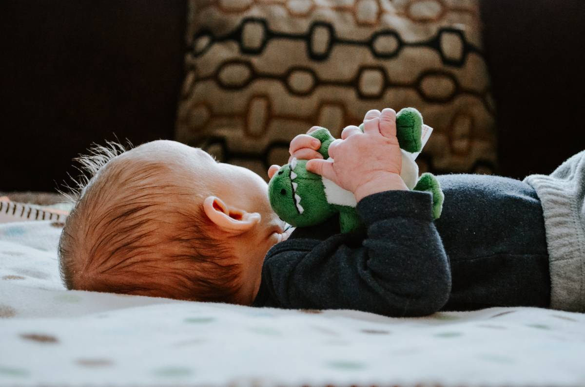 Why Organic Toys Are Better for Your Baby?