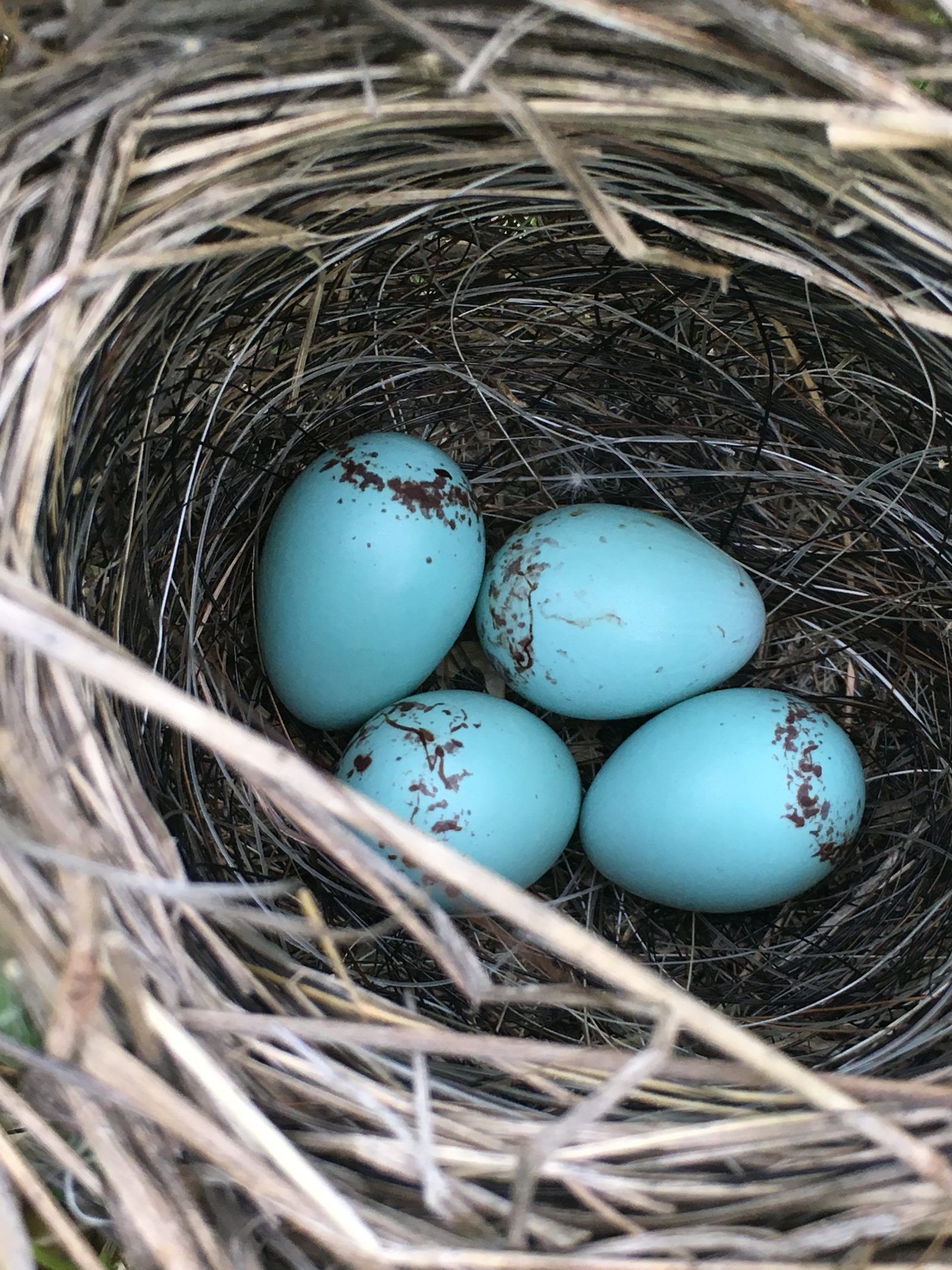 How to cope with empty nest syndrome
