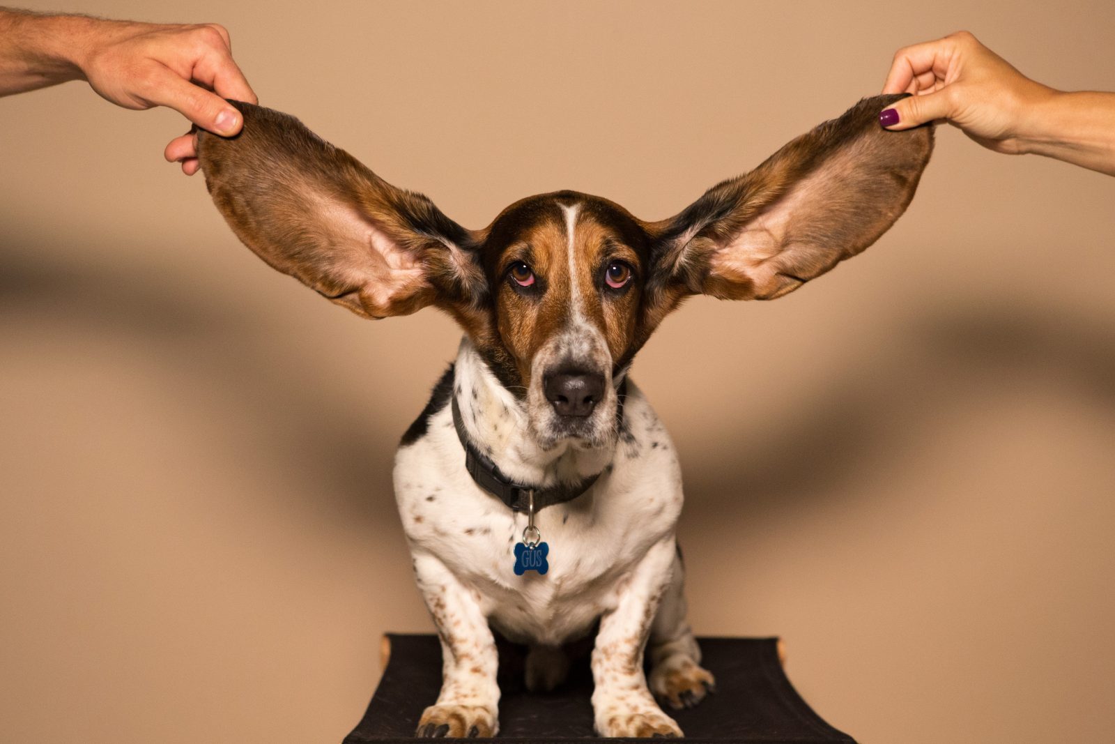 How to take care of kids ears