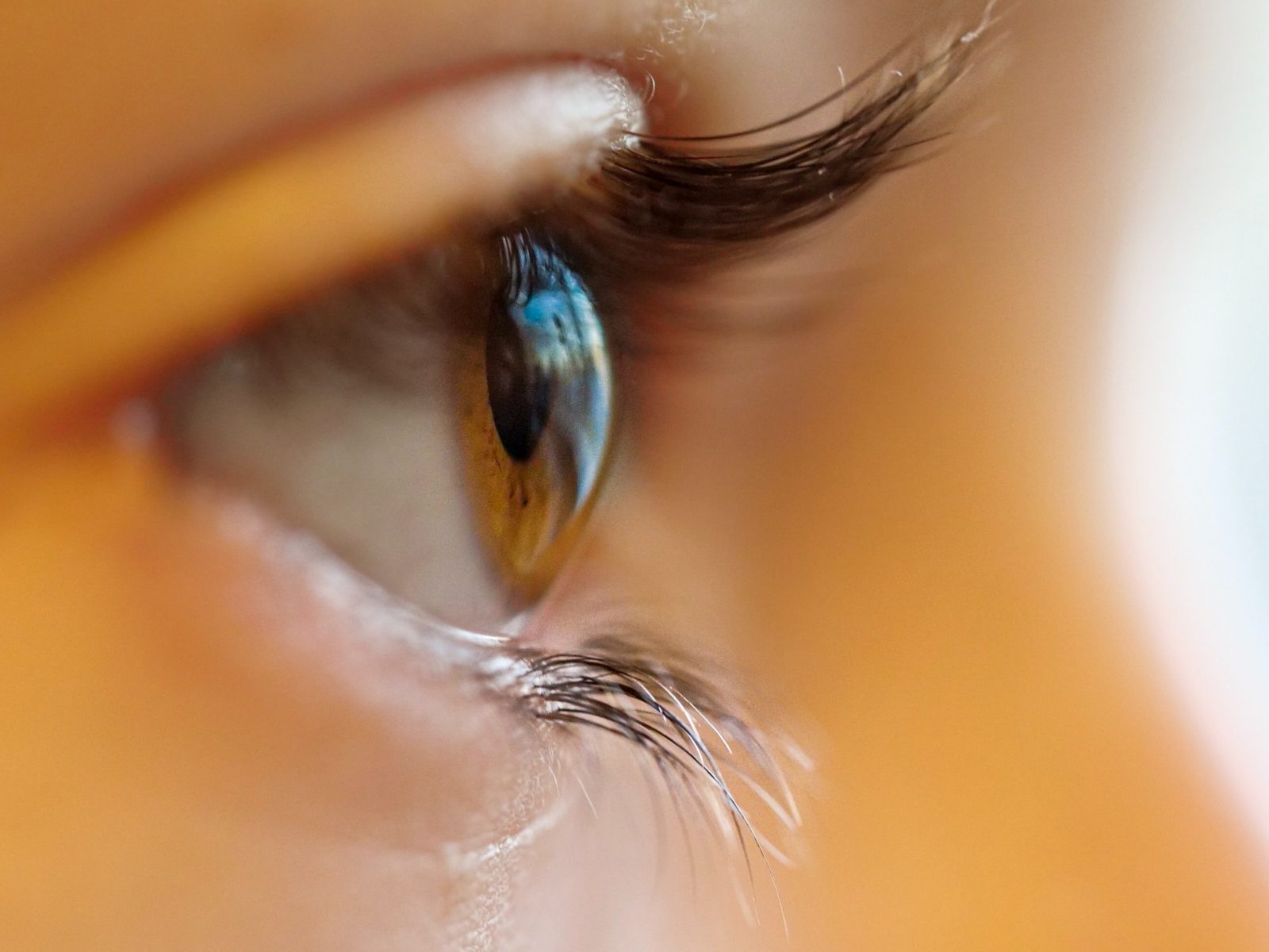 Cheap Contact lenses Online and How to Buy Them