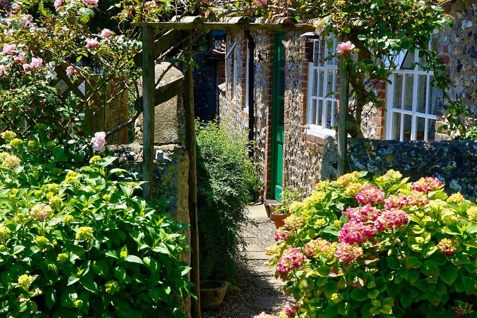 Tips to improve privacy in your garden this summer