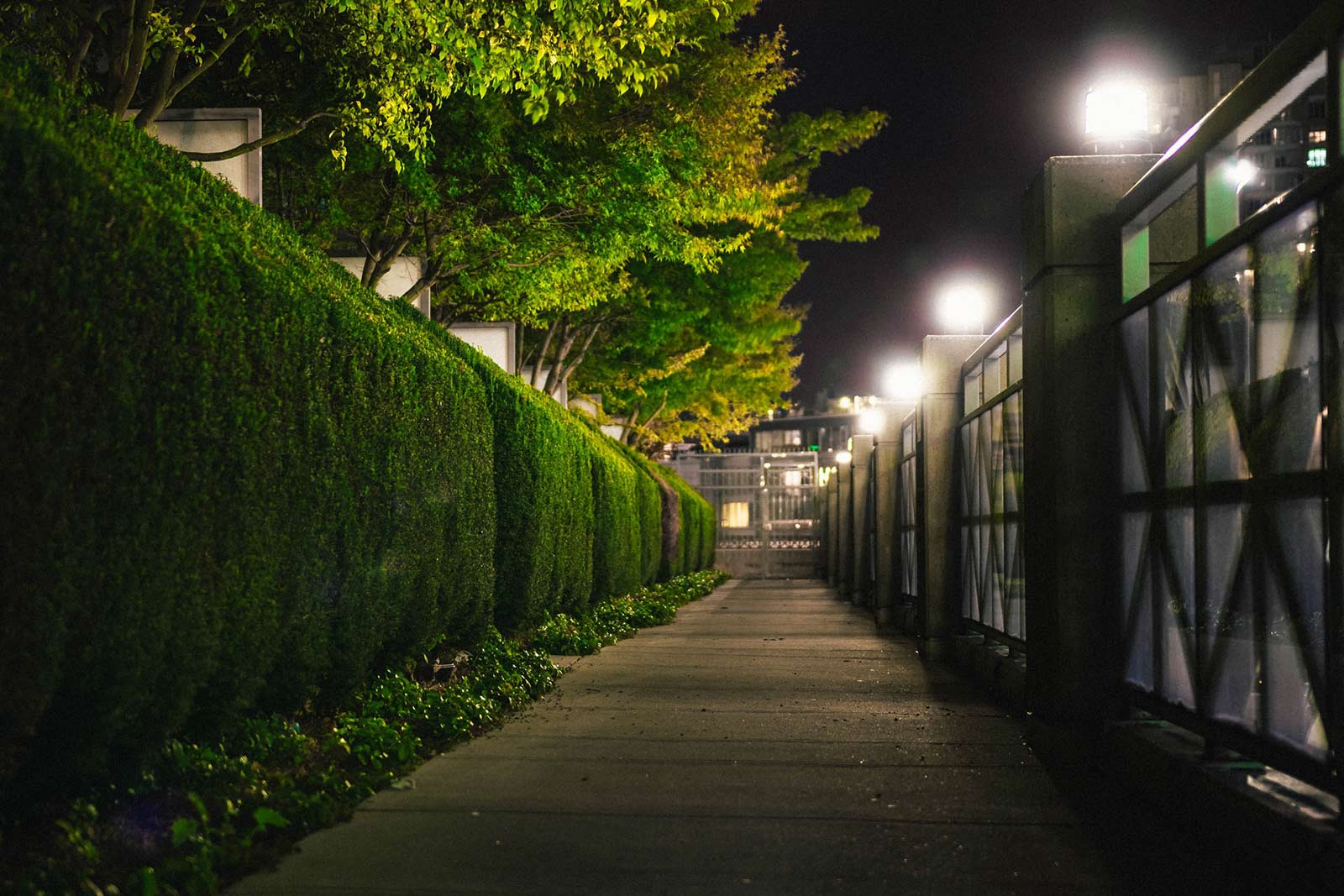 Tips to improve privacy in your garden this summer