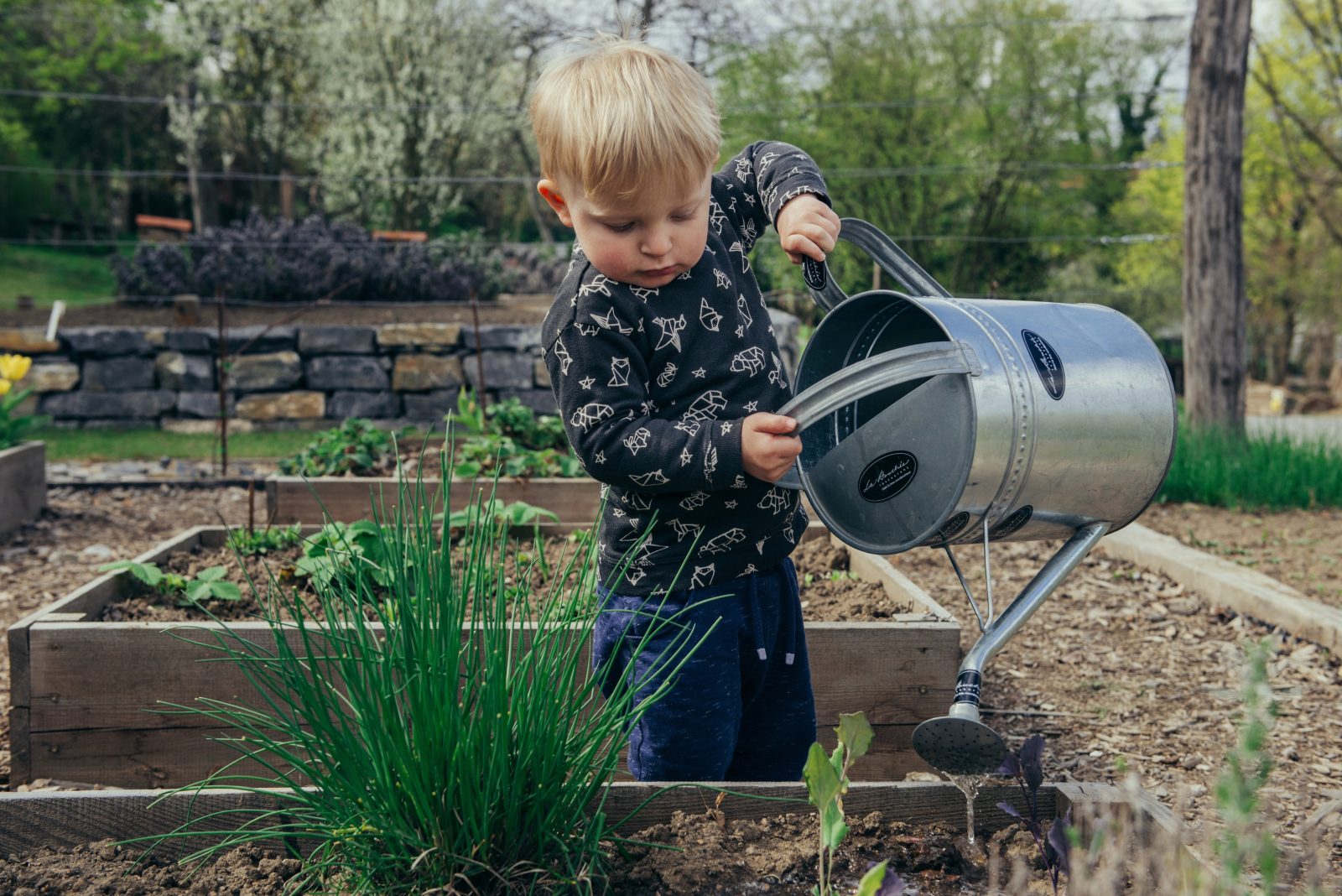 Preparing a child friendly garden for the summer