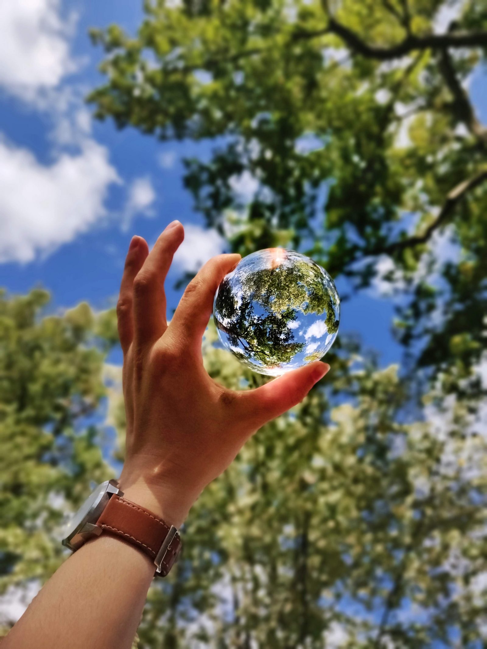 How to Be An Eco-Parent!